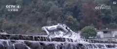 <strong>含“新”量不竭上升 中国外贸质升量稳、</strong> <strong>含“新”量不竭上升 中国外贸质升量稳、</strong>